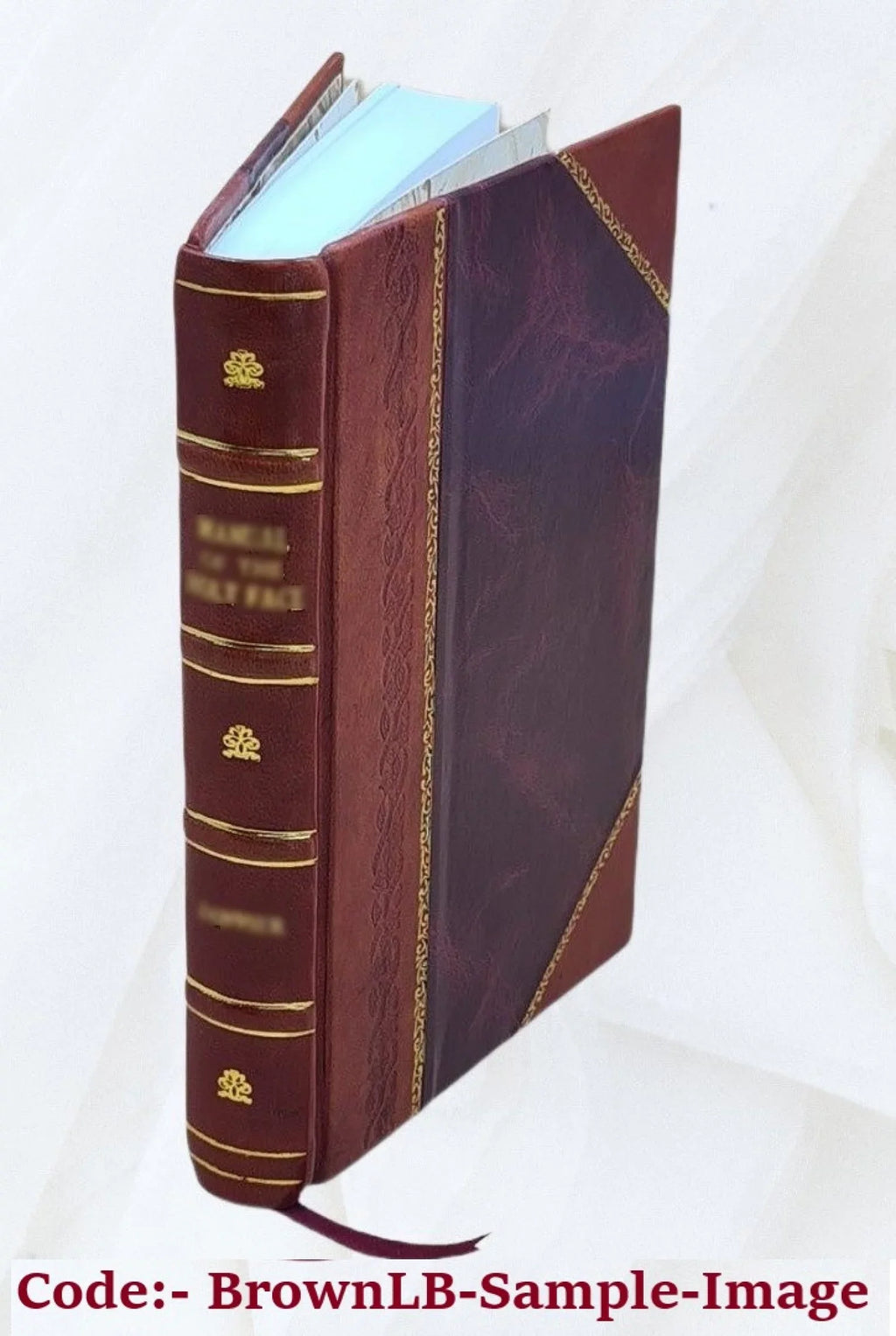 The New York public school; being a history of free education in the city of New York by A. Emerson Palmer...authorized by the Board of education; introduction by Sizeeth Low LL.D. 1905 [Leather Bound]