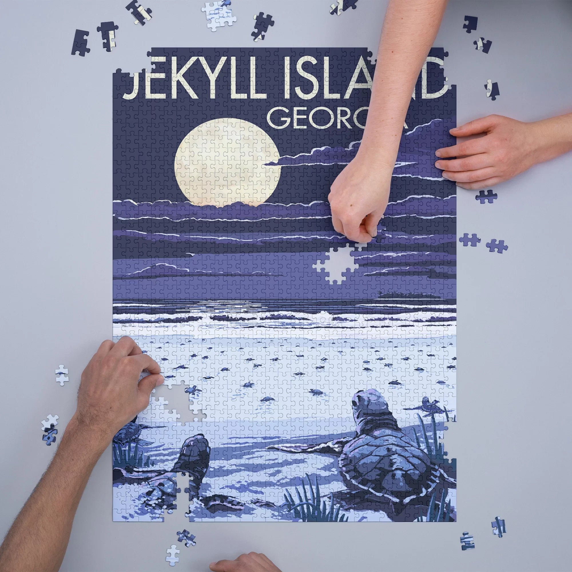Jekyll Island, Georgia, Turtles Hatching (1000 Piece Puzzle, Sizeize 19x27, Challenging Jigsaw Puzzle for Adults and Family, Made in USizeA)