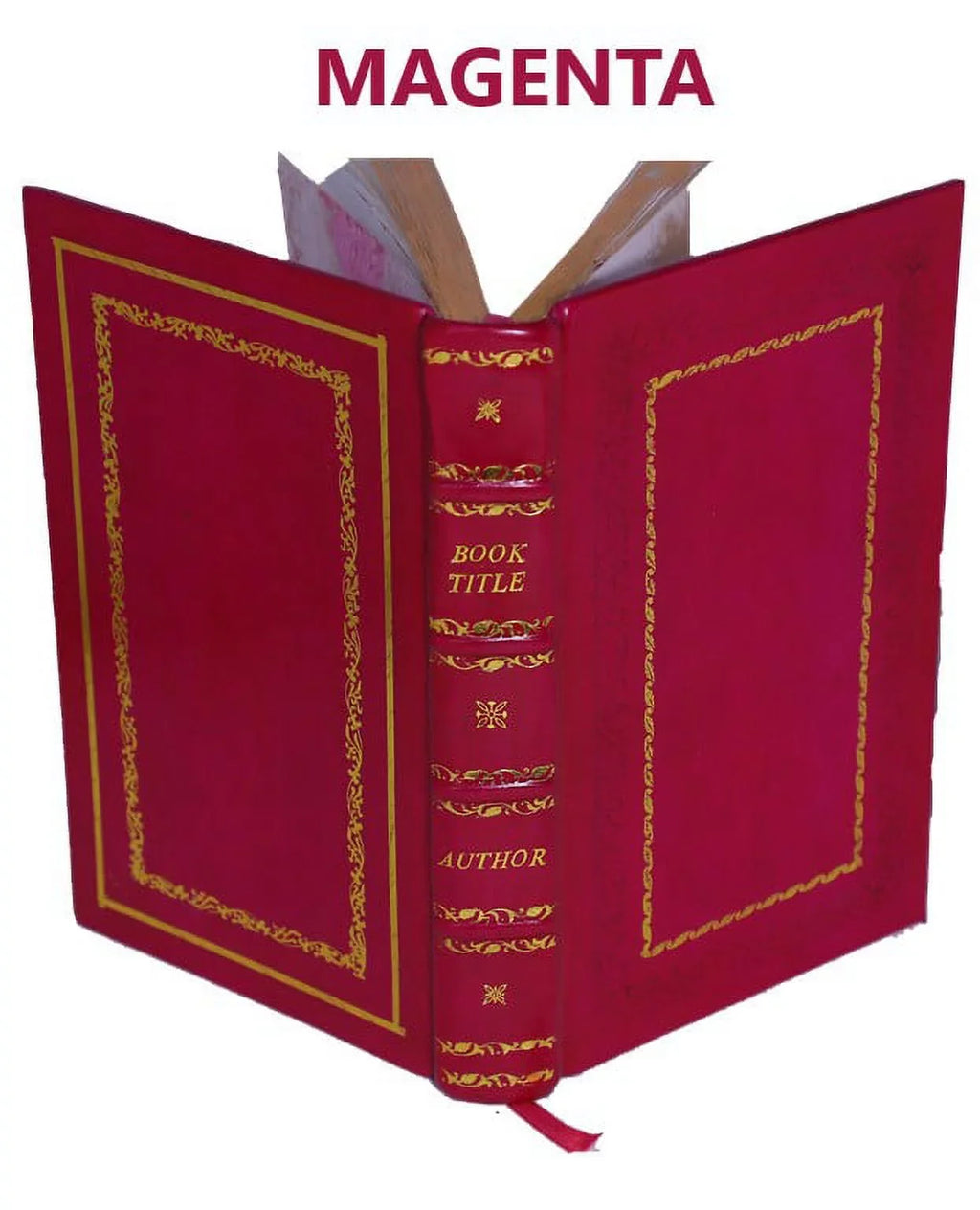 The filtration of public water-supplies 1905 [Premium Leather Bound]
