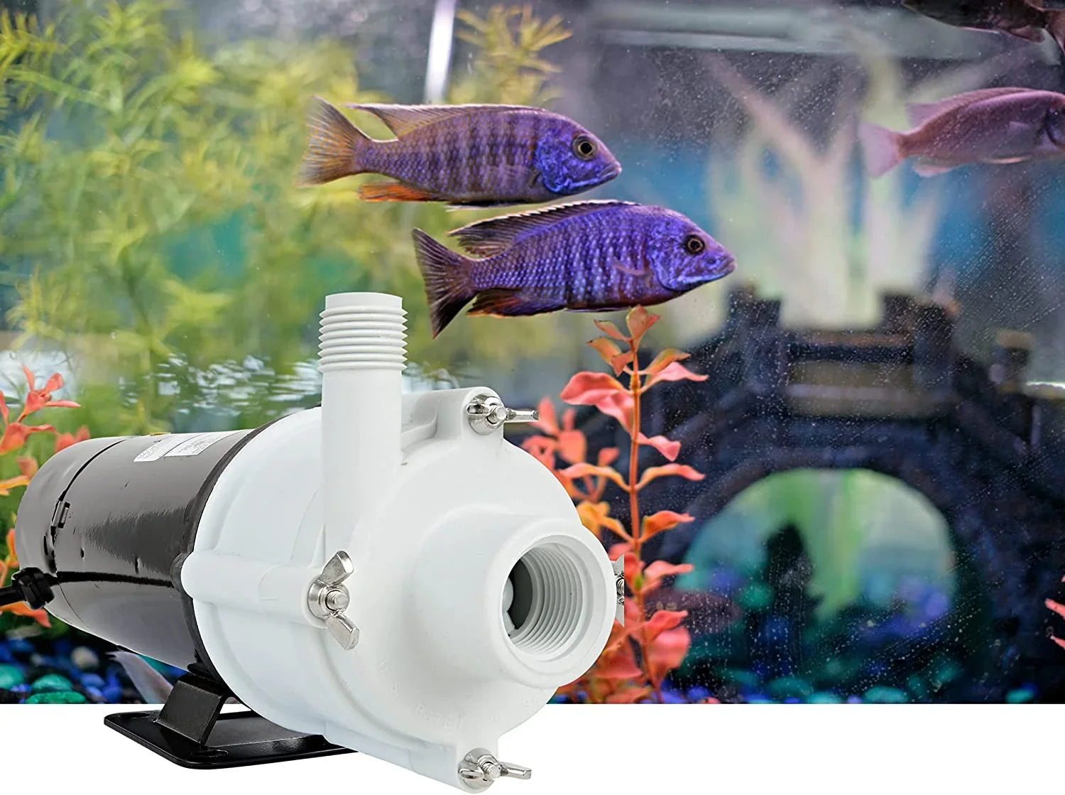 Little Giant 3-MDQX-SizeC 115-Volt, 1/15 HP, 1000 GPH, Magnetic Drive Aquarium Pump, 6-Ft. Cord, Black/Ivory, 581507