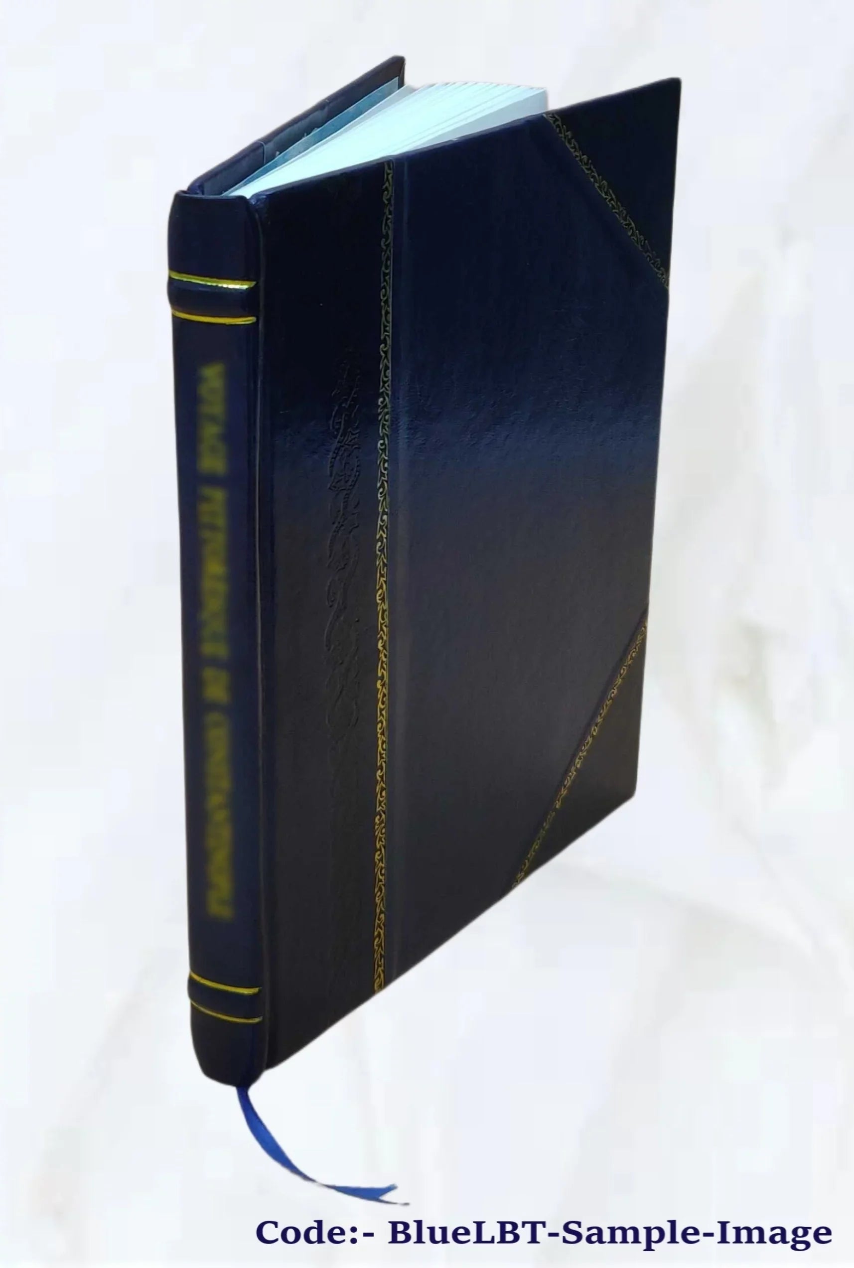 Viage pintoresco por los rios Parana, Paraguay, Sizen Lorenzo, Cuyaba y el Arino tributario del grande Amazonas con la desription de la provincia de Mato Grosso Bartolome Bossi 1863 [Leather Bound]