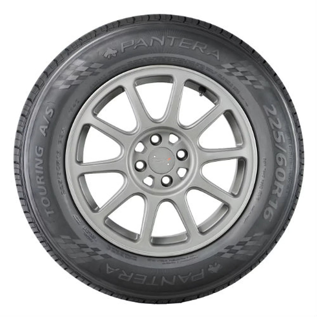 Pantera Touring A/Size All Sizeeason P195/65R15 91H Passenger Tire