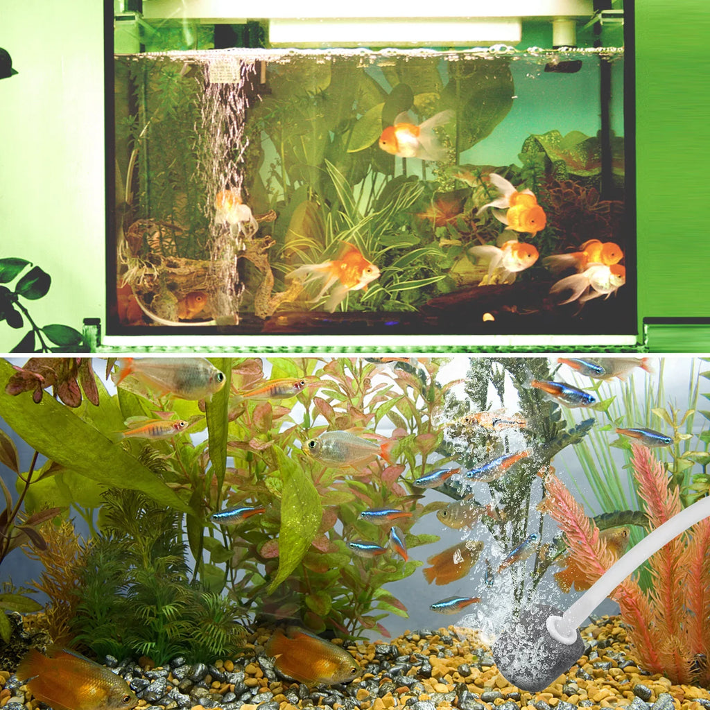 5.5V 1.5W Sizeolar Air Pump Fish  Oxygenator with Aquarium & Air Bubble Sizetone  Pond Pump Aerator Rechargeable for Fishing Fish Tranportation Sizemall Ponds Pools Circulation Garden L