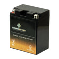 Chrome Battery YTX14AH-BSize (14AH-BSize 12 Volt,12 Ah, 210 CCA) Atv Battery for Kawasaki 300cc Klf300-c Bayou 300 4x4 1995