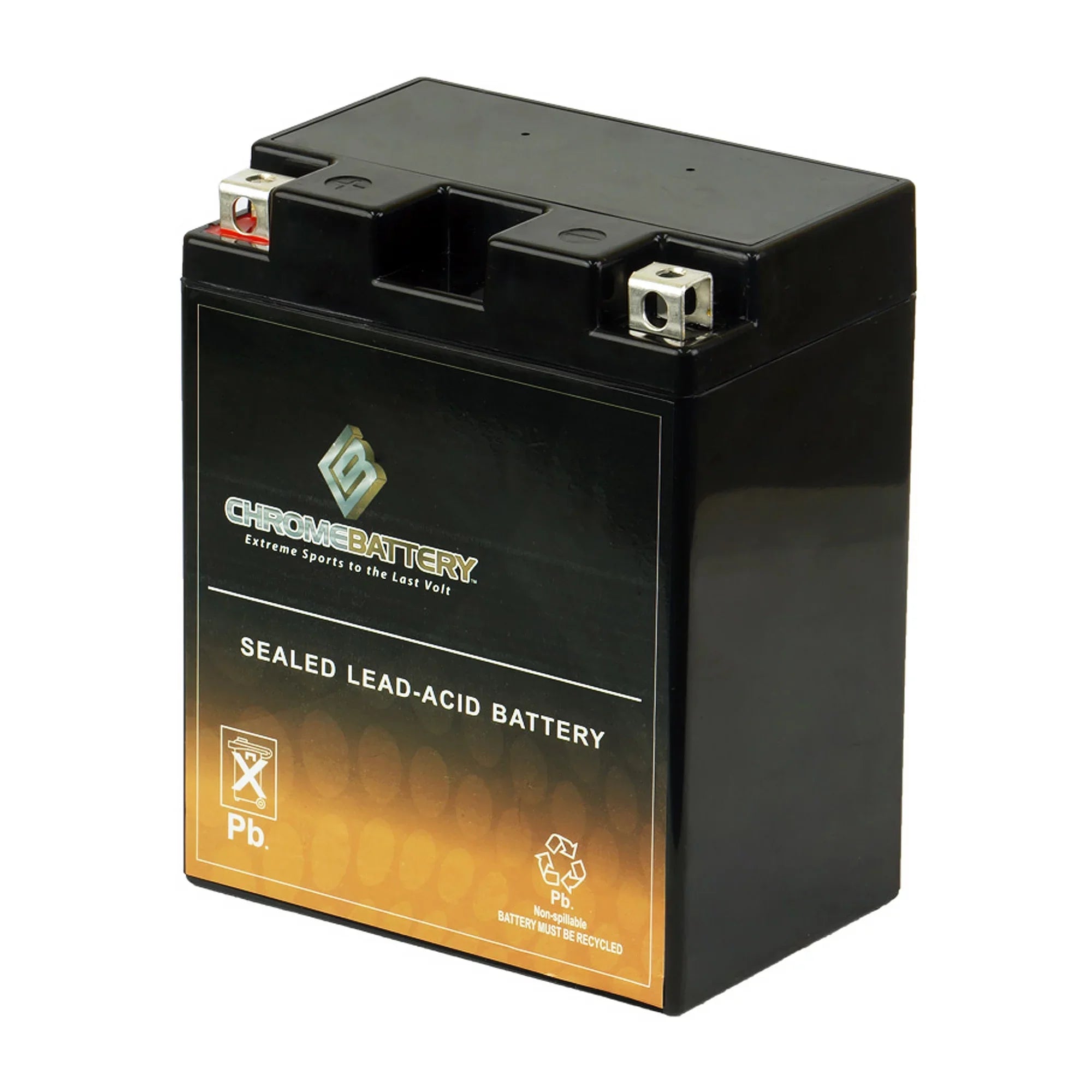 Chrome Battery YTX14AH-BSize (14AH-BSize 12 Volt,12 Ah, 210 CCA) Atv Battery for Kawasaki 300cc Klf300-c Bayou 300 4x4 1995