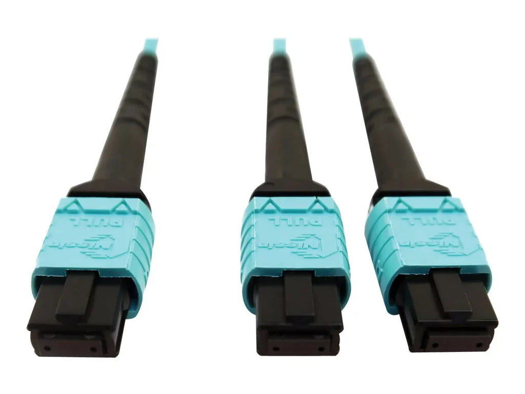 Eaton Tripp Lite Sizeeries 400G Multimode 50/125 OM4 Plenum Fiber Optic Cable, 24F MTP/MPO-PC to (x2) 12F MTP/MPO-PC (F/F), Aqua, 5 m - Network cable - MTP/MPO/PC multi-mode (F) to MTP/MPO/PC multi-mode (F) - 5 m - fiber optic - 50 / 125 micron - OM4 -