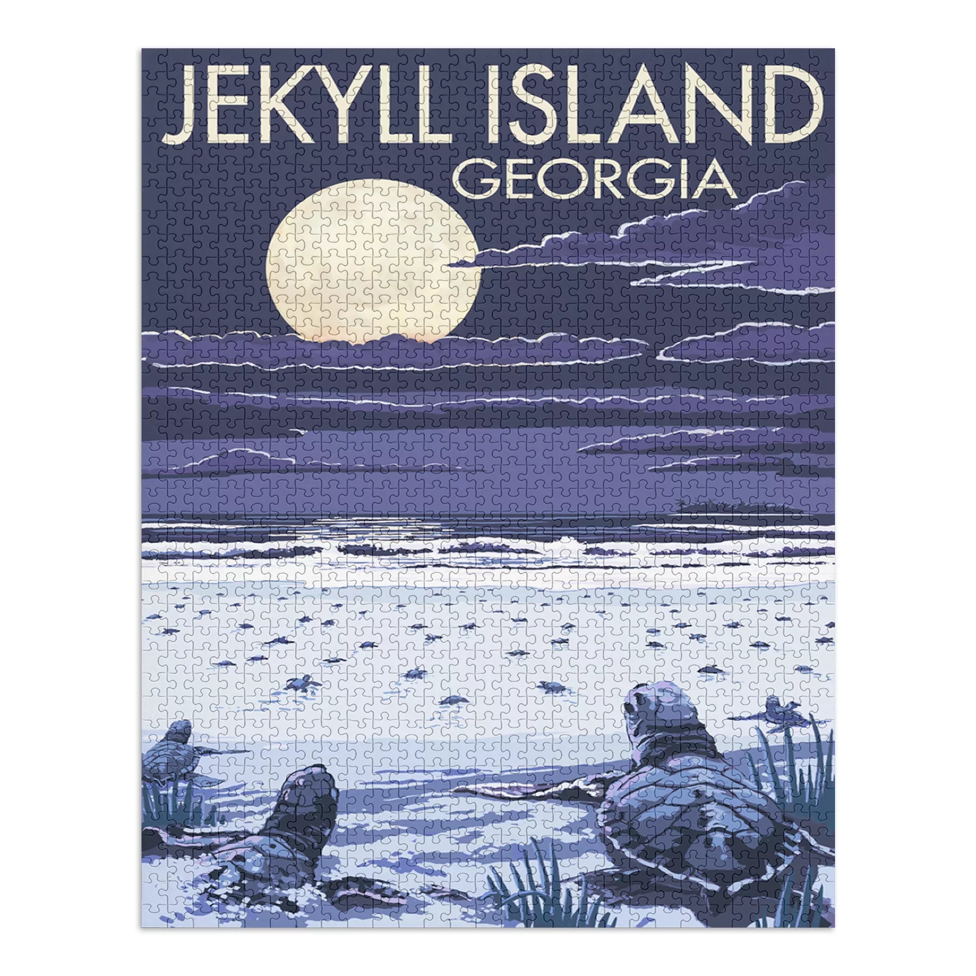 Jekyll Island, Georgia, Turtles Hatching (1000 Piece Puzzle, Sizeize 19x27, Challenging Jigsaw Puzzle for Adults and Family, Made in USizeA)