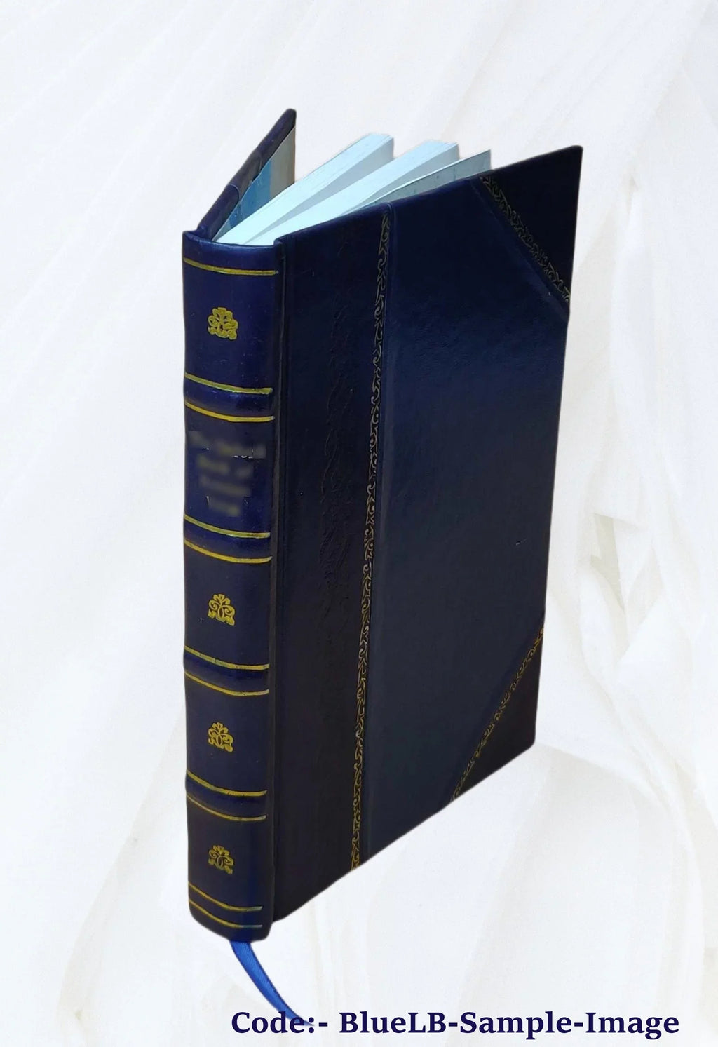 Kōnstantinias palaia kai neōtera: ētoi perigraphē Kōnstantinoupoleōs ap ... 1844 [Leather Bound]