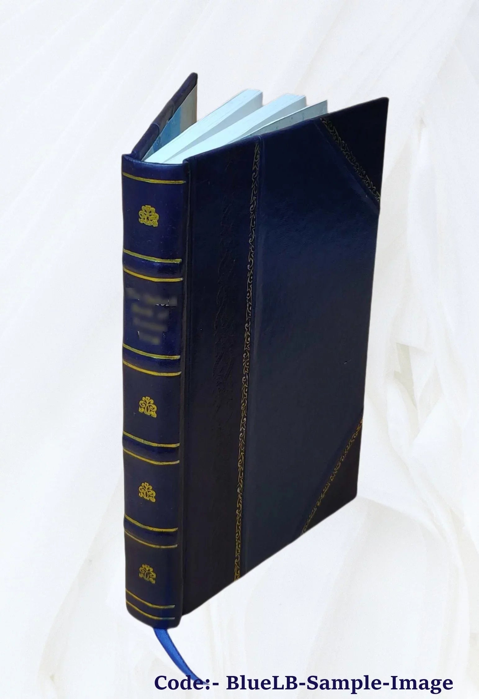 Kōnstantinias palaia kai neōtera: ētoi perigraphē Kōnstantinoupoleōs ap ... 1844 [Leather Bound]