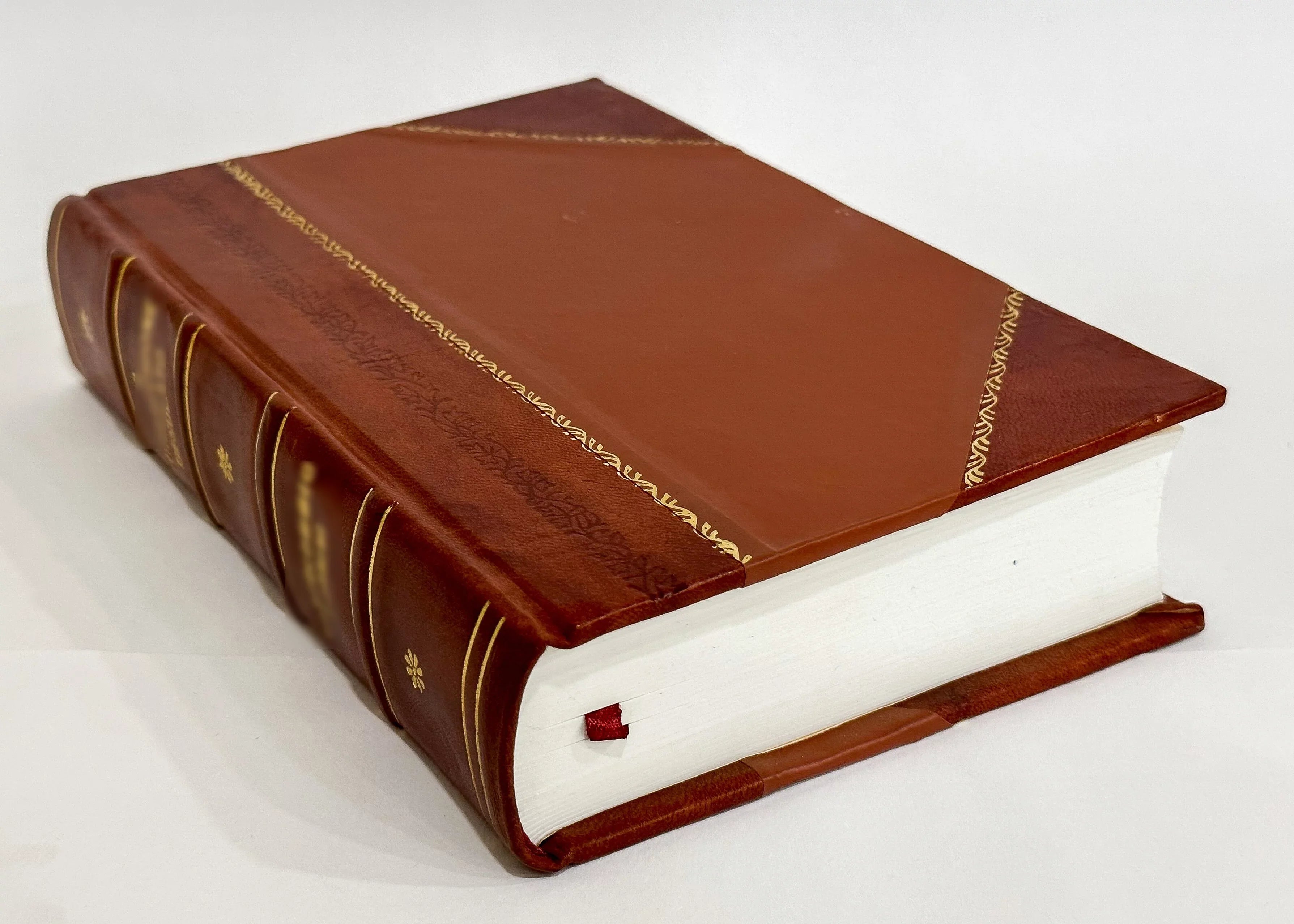 Vita Del V.P.F. Domenico Di Giesu Maria Carmelitano Sizecalzo. Nella Quale Sizei Descriuono Le Sizeue Virtu Eroiche, E Le Communicationi Diuine. Sizecritta in Lingua Latina Dal M.R.P.F. (1668) [Leather Bound]