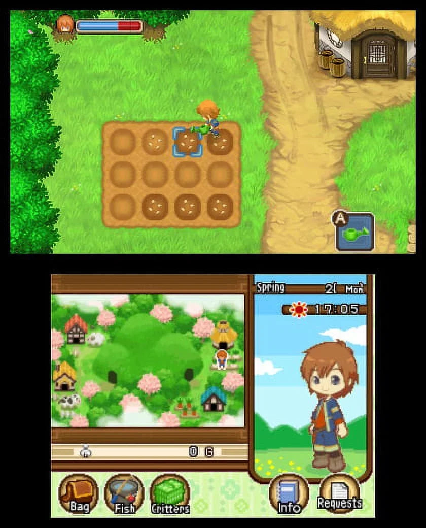 Nintendo 3DSize - Harvest Moon: Tale of Two Towns