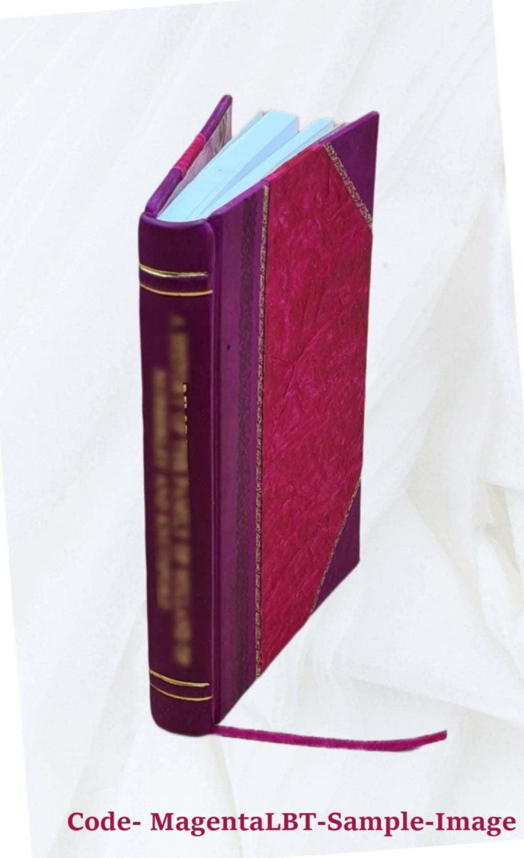 Logia et agrapha domini Jesu : apud moslemicos scriptores, asceticos praesertim, usitata. Fasciculus II / collegit, vertit, notis instruxit Michaël Asin... [et al.] [Leather Bound]