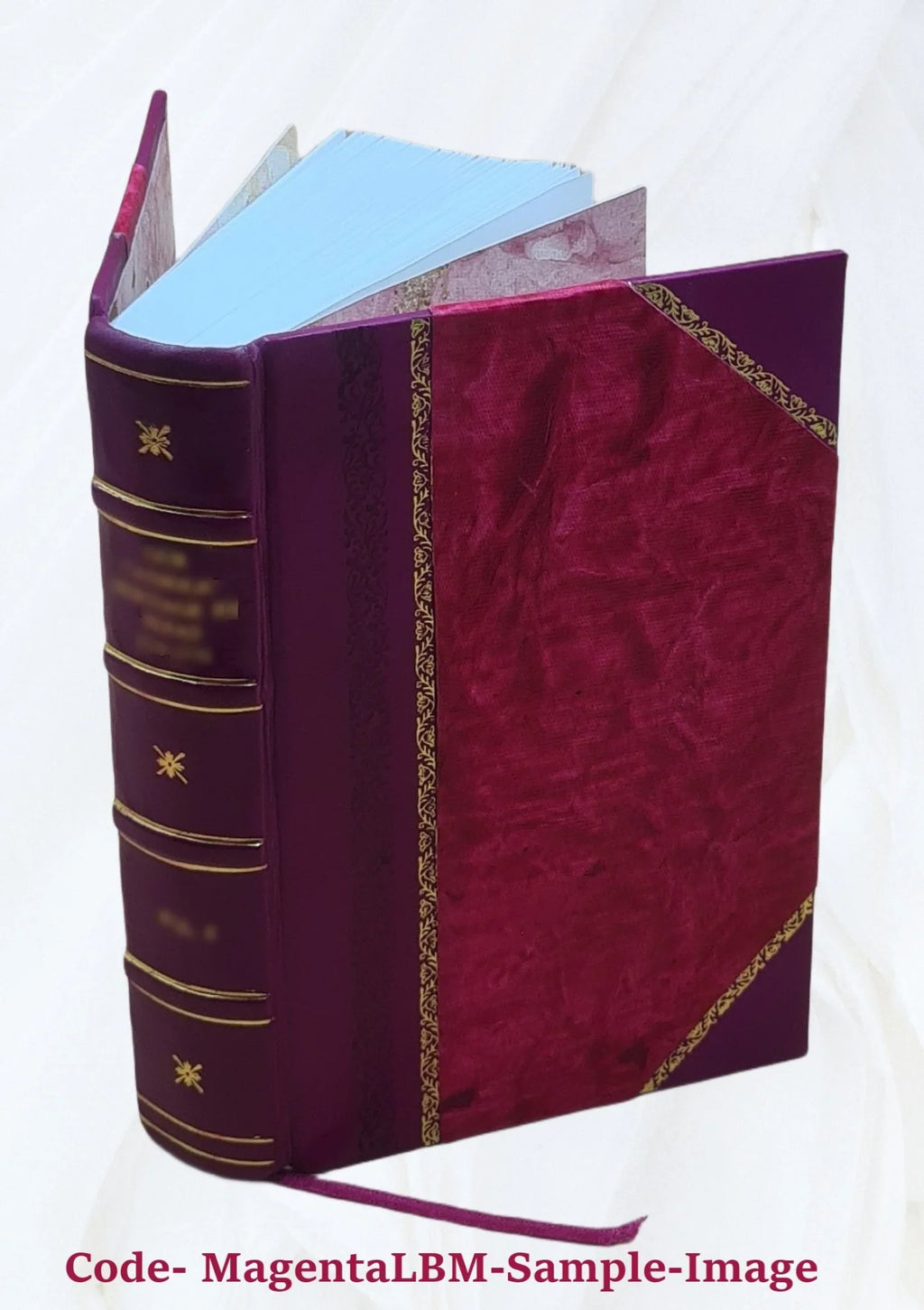 Burke's speech at the impeachment of warren hastings 1903 [Leather Bound]
