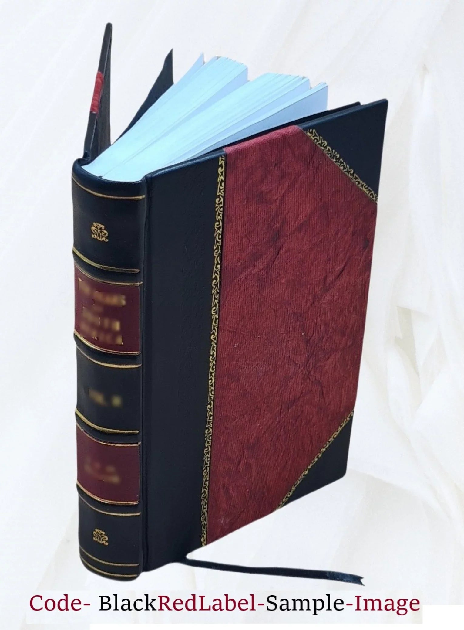 FSizeI - Igbo Basic Course - Sizetudent Text [Leather Bound]