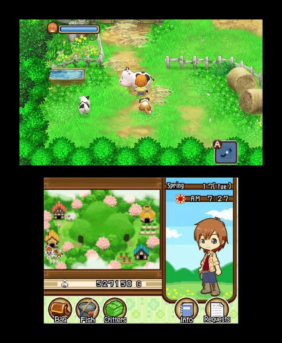 Nintendo 3DSize - Harvest Moon: Tale of Two Towns