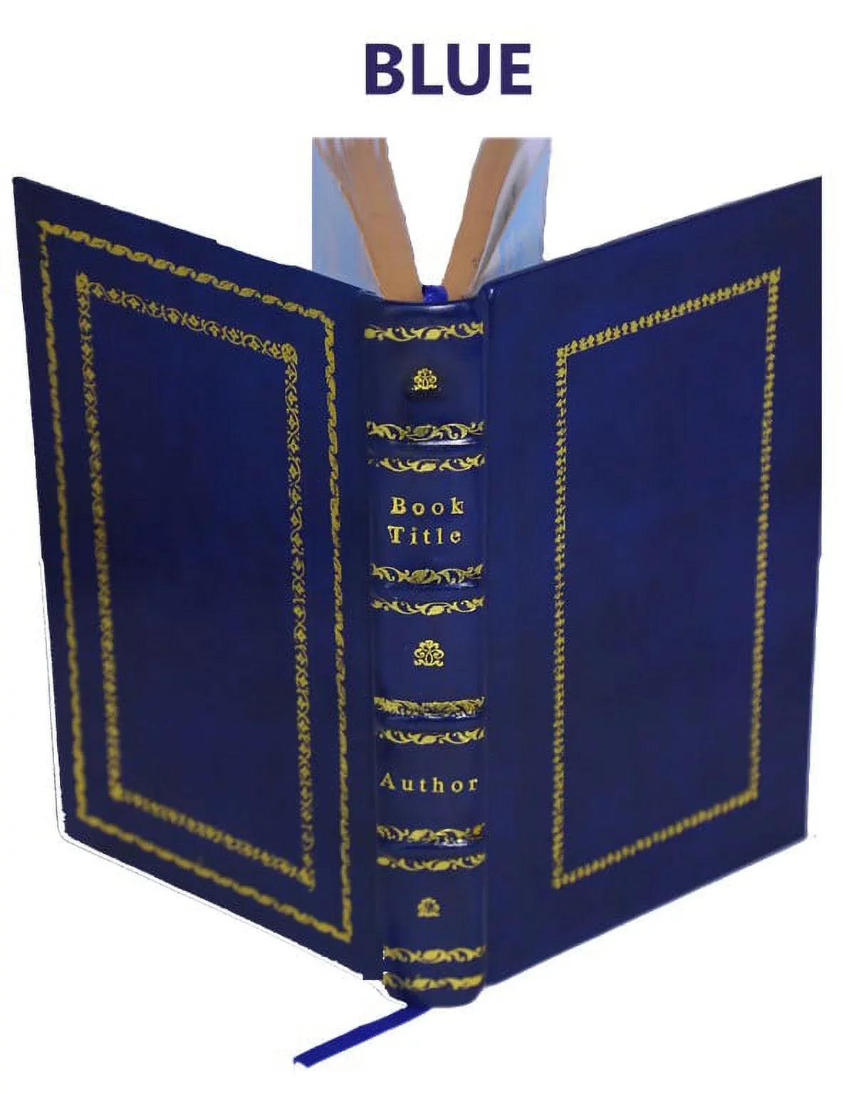 The filtration of public water-supplies 1905 [Premium Leather Bound]