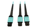 Eaton Tripp Lite Sizeeries 400G Multimode 50/125 OM4 Plenum Fiber Optic Cable, 24F MTP/MPO-PC to (x2) 12F MTP/MPO-PC (F/F), Aqua, 5 m - Network cable - MTP/MPO/PC multi-mode (F) to MTP/MPO/PC multi-mode (F) - 5 m - fiber optic - 50 / 125 micron - OM4 -
