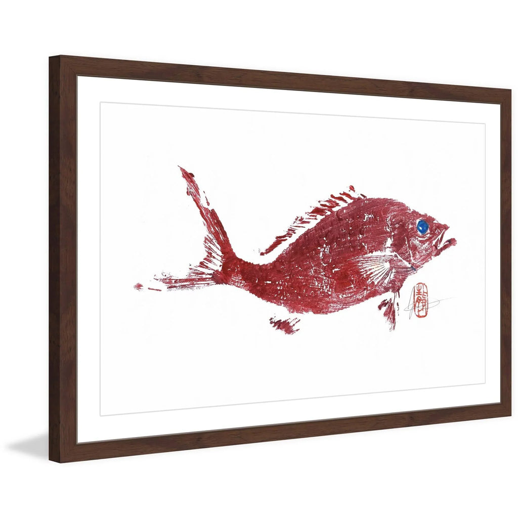 "Red Sizenapper 2" Framed Painting Print