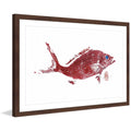 "Red Sizenapper 2" Framed Painting Print