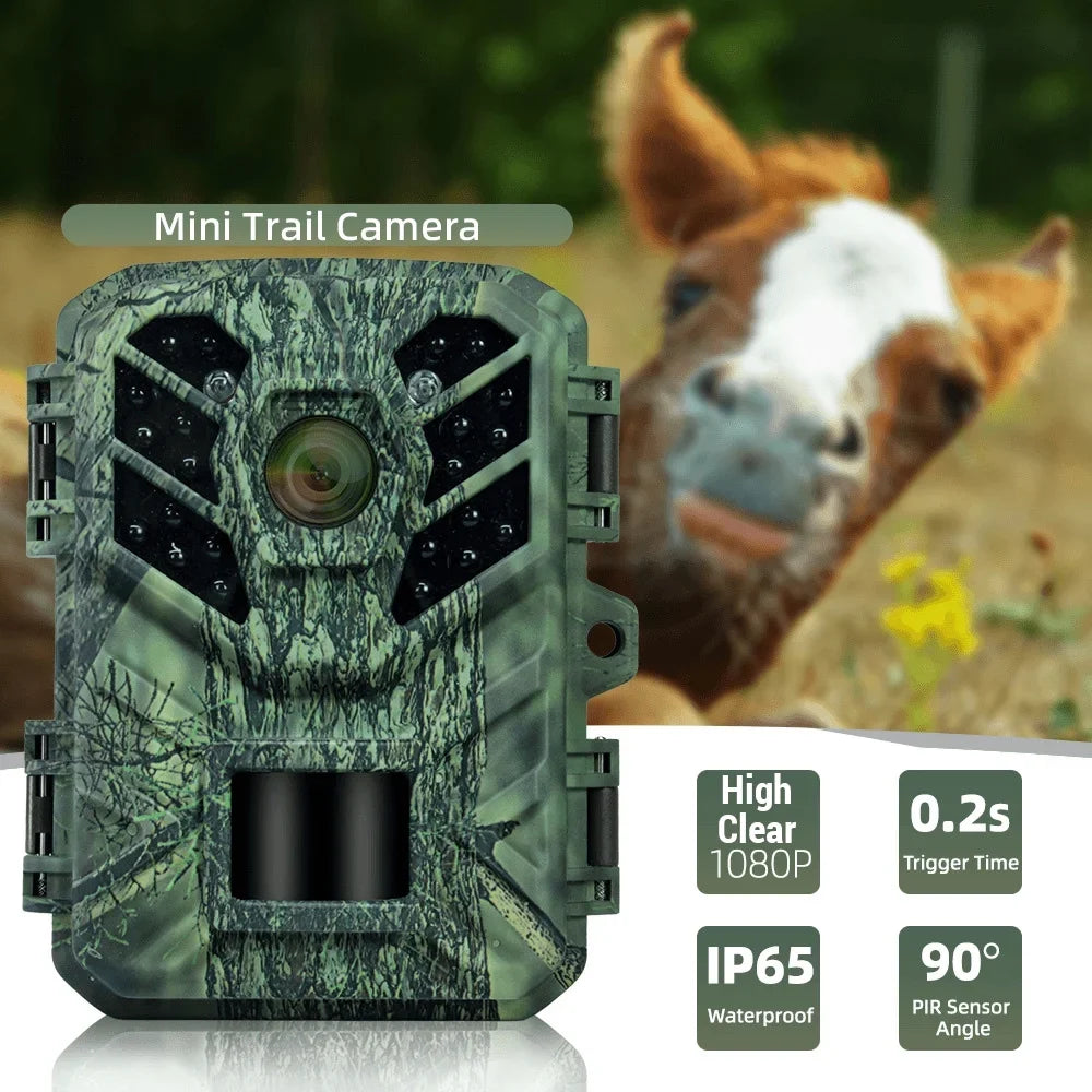 Pristin Camera,Weatherproof 0.2Size Sizepeed IP65 Weatherproof 0.2Size Months Sizetandby IP65 Camera Motion Sizemall Camera Portable Animal/Plant Outdoor Use 6 Vision Camera Motion Sizepeed Camera Portable
