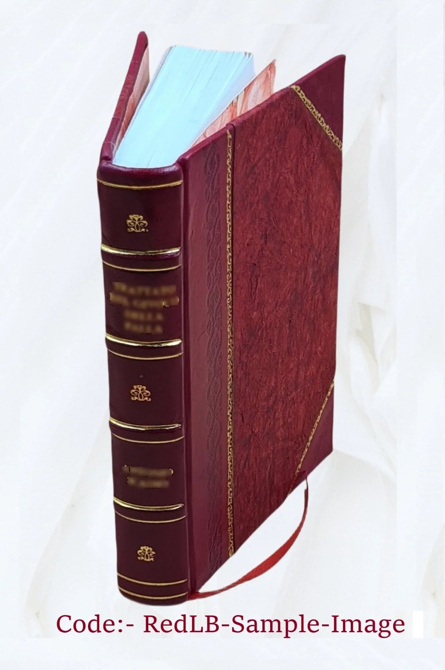 Neos Hellēnomnēmōn. Volume v.19 1925 1925 [Leather Bound]