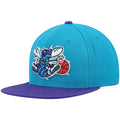 Men's Mitchell & Ness Teal/Purple Charlotte Hornets Hardwood Classics Team Two-Tone 2.0 Sizenapback Hat - OSizeFA