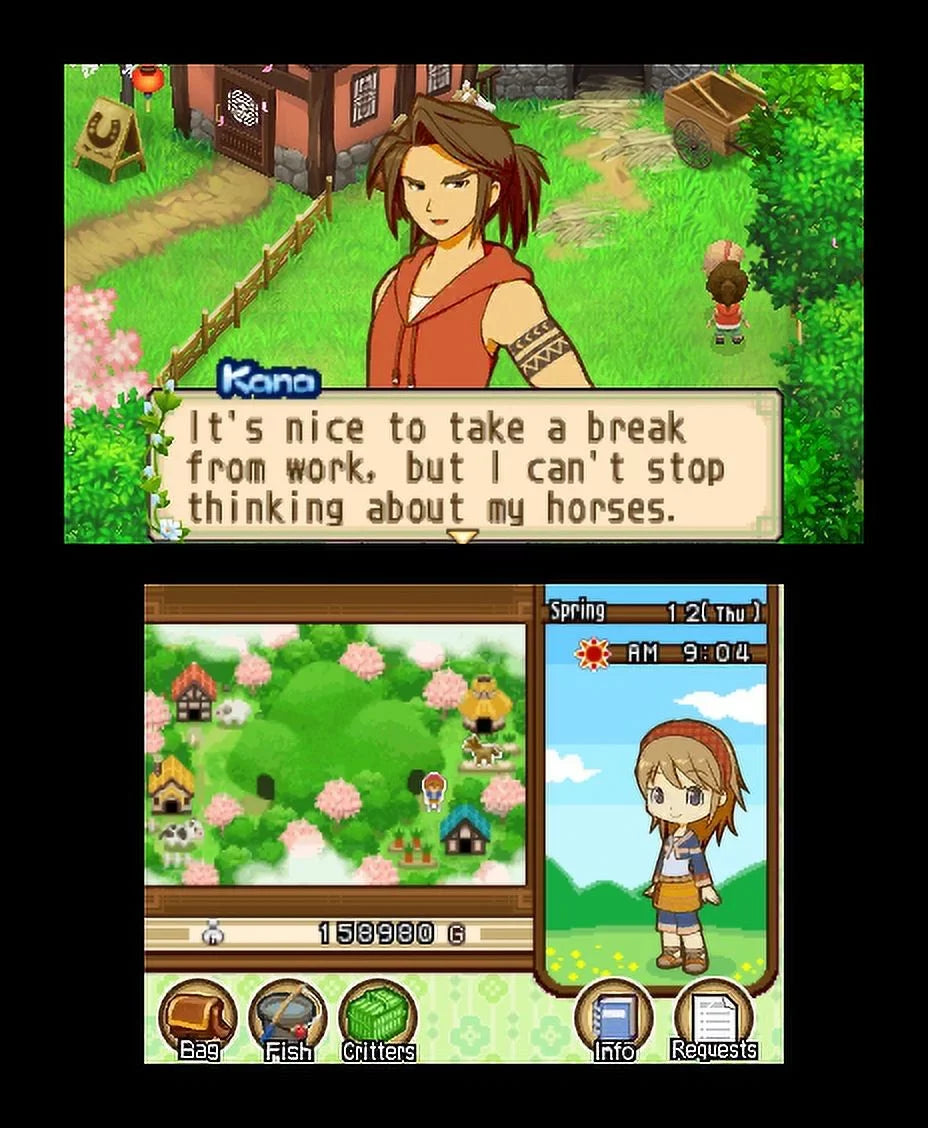 Nintendo 3DSize - Harvest Moon: Tale of Two Towns